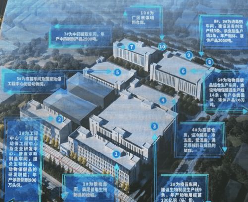 市長點評生物化工重點項目 以比學趕超助推產業升級