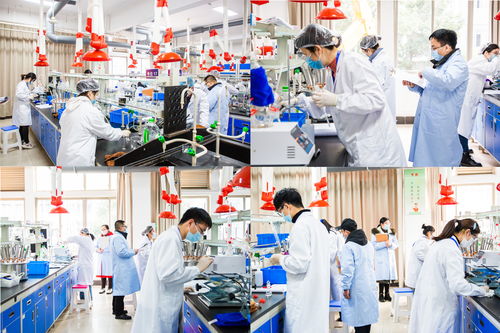 2022年省職業院校技能大賽高職生物與化工類化學實驗技術項目在我校圓滿舉行，聚焦生物化工產品技術研發