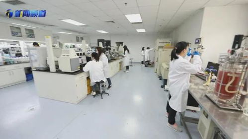 十項行動見行見效，京津冀協同發展走深走實——國家合成生物技術創新中心助力生物化工產業升級