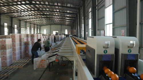 菜鳥物流科技下鄉，助力尋烏農產品進城與快遞進村，自動化與生物化工技術研發再上新階